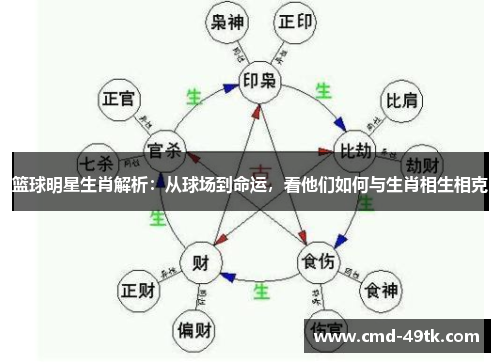 篮球明星生肖解析：从球场到命运，看他们如何与生肖相生相克